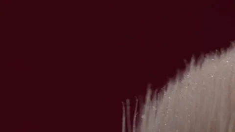 Panning Extreme Closeup of Soft Makeup Brush Bristles Showing Fine Texture Stock Footage 340805385