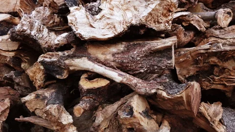 Panning on firewood 動画素材 155743503