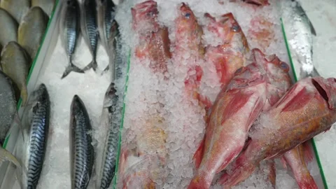Panning fresh fish on ice display fish market Stock Footage 156836238