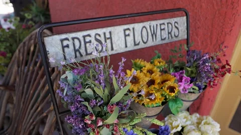 Panning fresh flowers Stock Footage 156008140