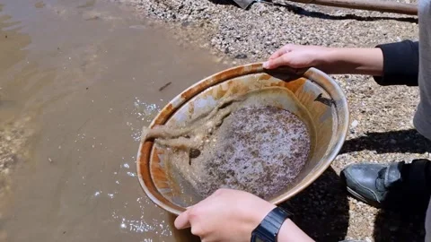 Panning for gold in the creek Stock Footage 319614460
