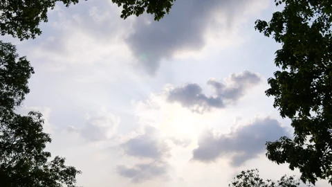 Panning from green branches of trees to godly clouds with sunrays and bule s Stock Footage 285818291