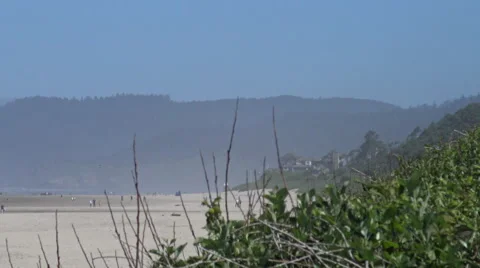 Panning Haystack Rock Video stock 60917145
