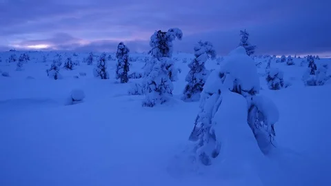 Panning landscape with snow covered trees in polar forest under sunset Stock Footage 129758786