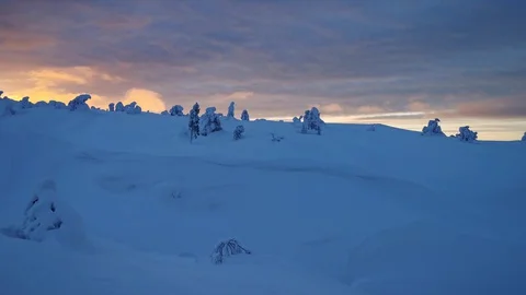 Panning landscape with snow covered trees in polar forest Stock Footage 129759108