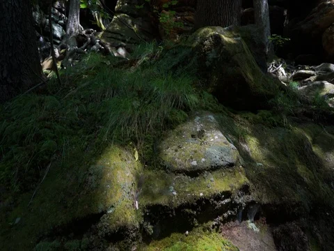 Panning up at large rock formation at Ledges in Cuyahoga Valley National Park Stock Footage 82710140