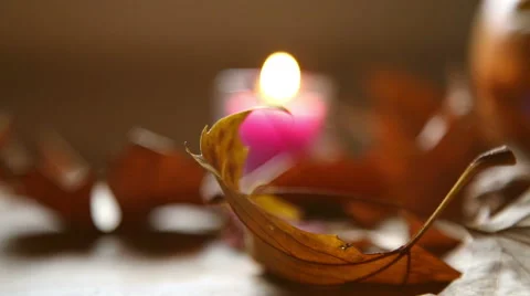 Panning from leave through pumpkin  to candle Stock-Footage 55845991