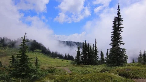 Panning left across mountain meadows Stock Footage 100963084