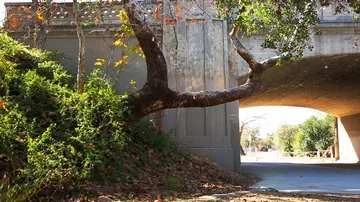 Panning left to right bridge Stock Footage 85486347