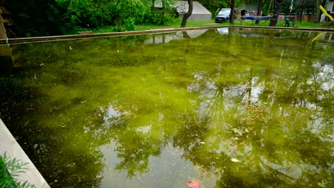 Panning left to right of dirty full of algae water in melted back yard ice rink Stock Footage 311481868