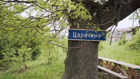 Panning from the left to the right side of the frame, around a tree where Stock Footage 263707017