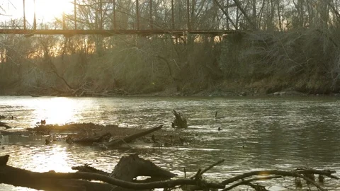 Panning left shot of geese on river. Stock Footage 85800938