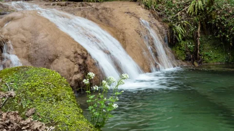 Panning left view of the waterfall with flowers. Soft focus. Stock Footage 142302594