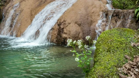 Panning left view of the waterfall with flowers. Soft focus. Stock Footage 142349457