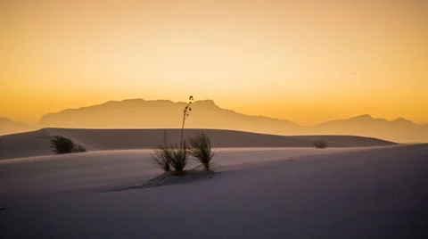Panning Left on Windy Dunes in Desert at Sunset Stock Footage 60218707