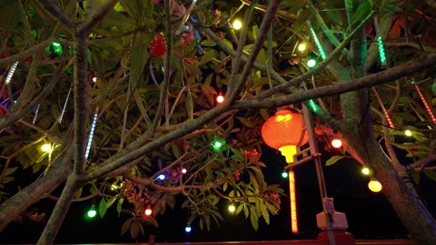 Panning lighting at tree with colorful red lantern Stock Footage 321390024