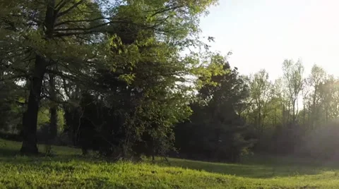 Panning low to the ground shot 動画素材 37727724