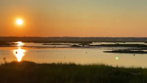 Panning Marsh Sunset with Orange Yellow Sun Stock Footage 134551609