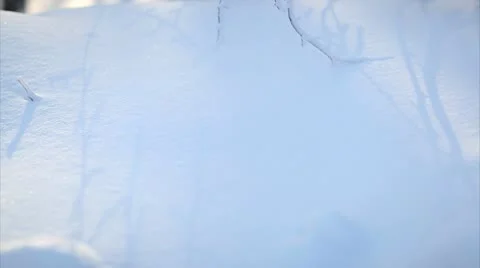 Panning up motion on frozen branches Stock Footage 10595370