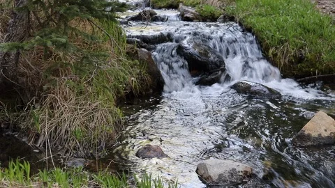 Panning Mountain Stream - Slow Stock Footage 91197114