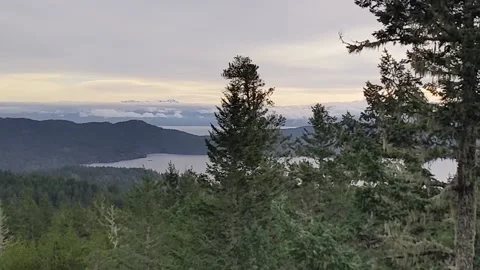 Panning Mountain View through trees to Ocean at Mt. Manuel Quimper Vídeo Stock 169134600
