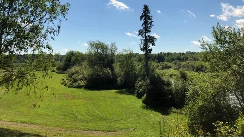 Panning Nature 動画素材 125024837