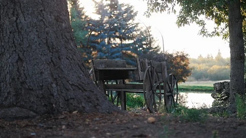 Panning next to old covered wagon with trees and pond at sunrise Stock-Footage 102674184