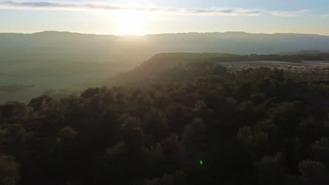 Panning to Olive Orchard Mountain at Sunset 4k Drone Stock Footage 309406313
