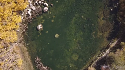 Panning Out from a Pond Stock Footage 81538807