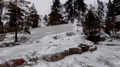 Panning over the cliff at the shore that has snow on it and trees on the side Stock Footage 102236984