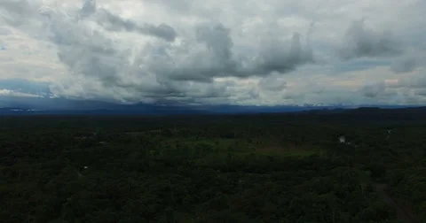 Panning over the Dark Jungle Below Stock Footage 61737080