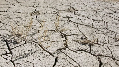 Panning over dry mud cracks during drought in 2021 Video stock 149632220