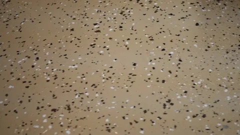 Panning over epoxy floor with a clear coat on basement floor of residential home Video stock 122295528