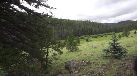 Panning Over Green Valley Stock Footage 51680343