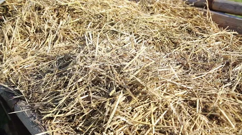 Panning over haystack Stock Footage 41808307