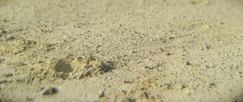 Panning over layers of open mine pyrite 4K scope video Stock Footage 314590966