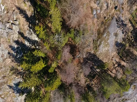 Panning over swedish frozen lake and tree tops in early spring Stock Footage