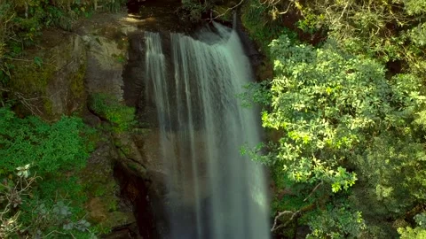 Panning over a water fall in a rain forest in Honduras Stock Footage 138287112