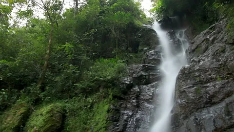 Panning over a water fall in a rain forest in Honduras Stock Footage 148003636