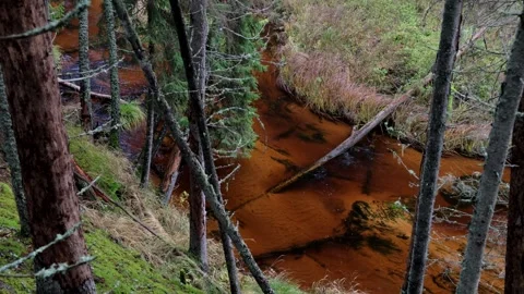 Panning over a wild river in late autumn Stock Footage 279176771