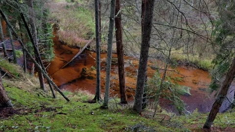 Panning over a wild river in late autumn Stock Footage 279178435