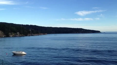 Panning remote controlled plane Stock Footage 45592028