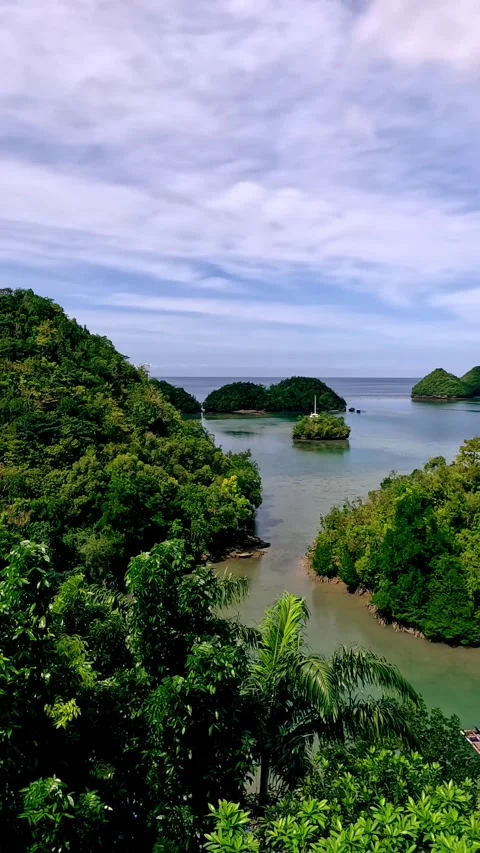 Panning right to the islets of Tinagong Dagat in Sipalay, Negros Oriental, Phili Stock Footage 326083794