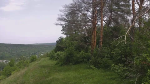 Panning from the right to the left on the mountain forests, village and custle Video stock 89923347