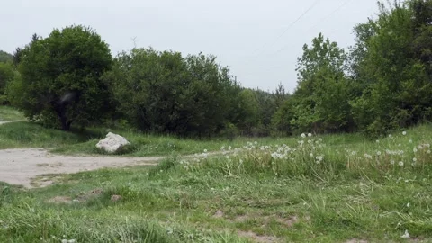 Panning from the right to the left side of the frame on a landscape of Stock Footage 264779179