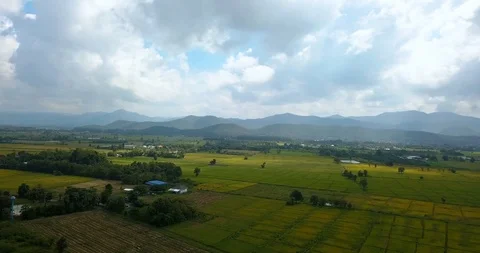 Panning right over rice fields on a north of Thailand, Chiang Mai Stock Footage 108469916