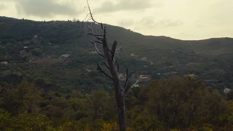 Panning right over a small hill in Sicily Stock Footage 88723069