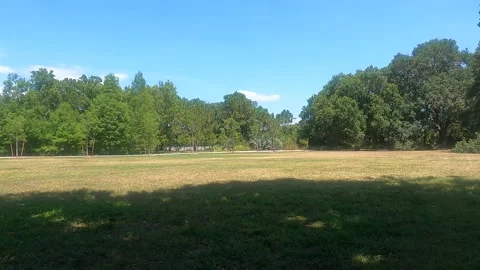 Panning right park view Stock Footage 156133537
