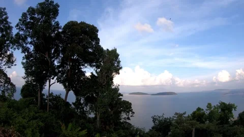 Panning right video view of green tropical forest trees on mountain . Video stock 328819436