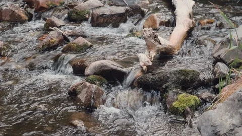 Panning River Shot Stock Footage 93856101
